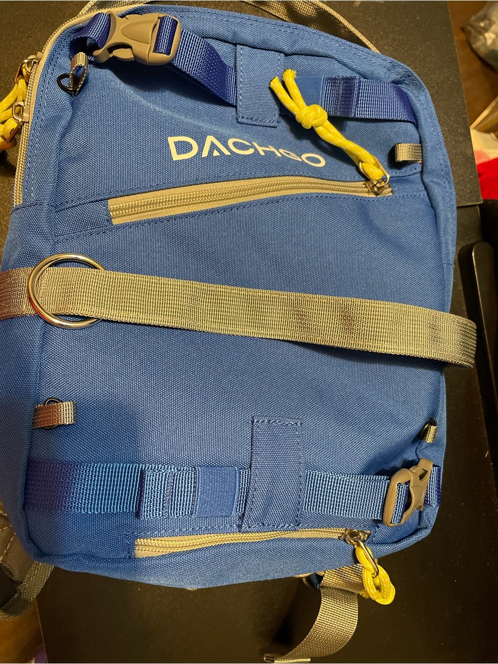 Dachgo Kids Ski & Snowboard Harness Backpack